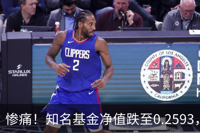 惨痛！知名基金净值跌至0.2593，暴跌74%，基民不敢查看账户