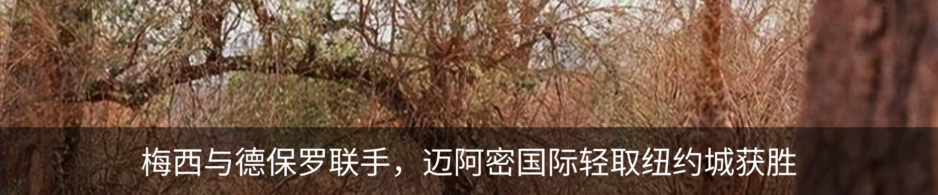 热点资讯